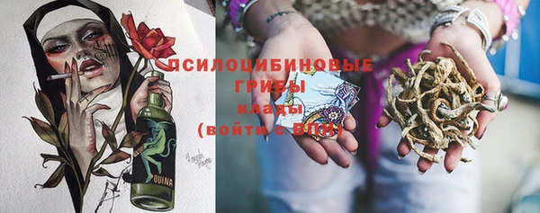 молекула духа Липки