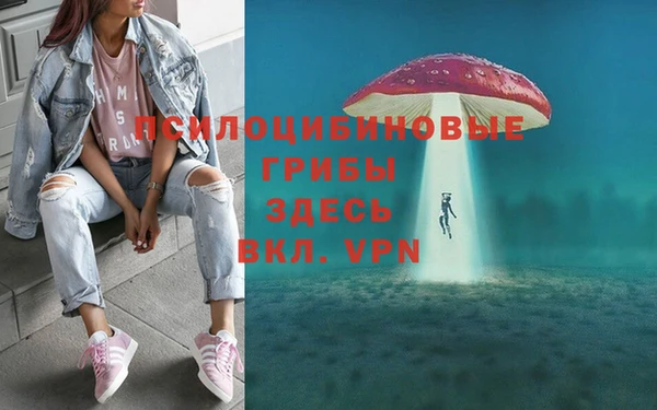 спиды Магадан