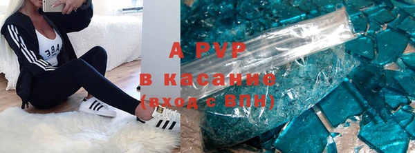 спиды Лиски