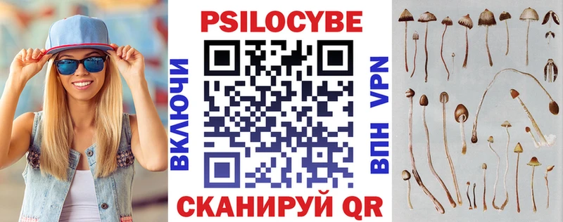 Псилоцибиновые грибы GOLDEN TEACHER Таруса